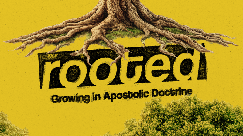 Rooted