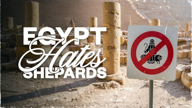 Egypt Hates Shepards