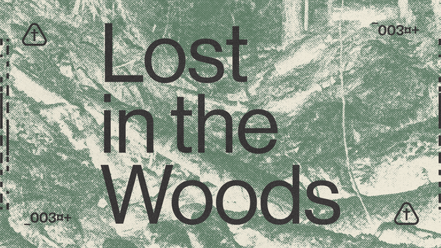 Lost in the Woods